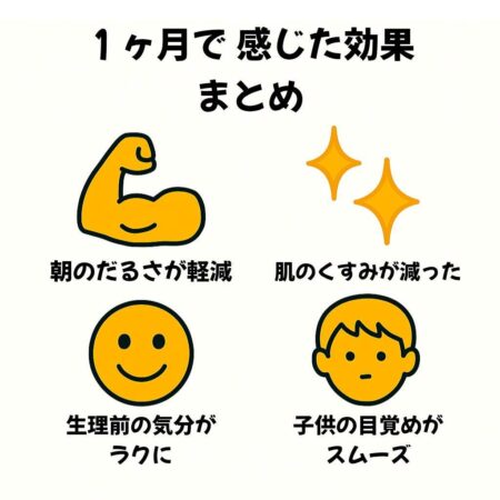 豊潤サジーを1ヶ月飲んで実感した主な効果のアイコン